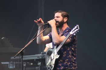 foals