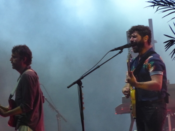 Foals