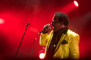 lee fields