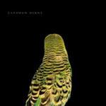 ANDREW BIRD - Armchair Apocrypha