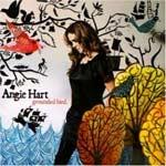 ANGIE HART - Grounded Bird