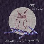 BOY AND THE ECHO CHOIR - And Night Arrives In One Gigantic Step