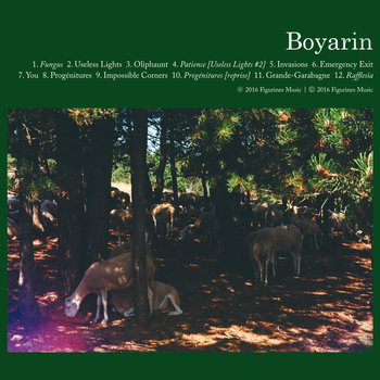 Boyarin - Boyarin