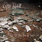 CORTNEY TIDWELL - Don't Let Stars Keep Us Tangled Up
