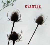 Cvantez - Tigers