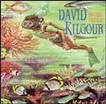 DAVID KILGOUR - Frozen Orange