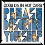 DOG DIES IN HOT CARS - Please Describe Yourself