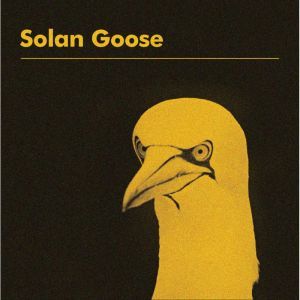 Erland Cooper - Solan Goose