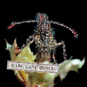 Gang Gang Dance - Eye Contact