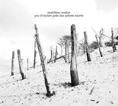 Mathieu Malon - Peu d'ombre près des arbres morts