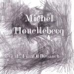 MICHEL HOUELLEBECQ - Le Film Du Dimanche