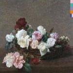 NEW ORDER - Power, Corruption & Lies