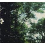 OUR SLEEPLESS FOREST - S/t