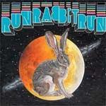 SUFJAN STEVENS - Run Rabbit Run