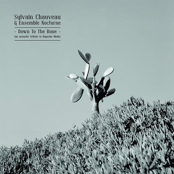 Sylvain Chauveau & Ensemble Nocturne - Down to the Bone