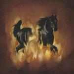 THE BESNARD LAKES - The Besnard Lakes Are The Dark Horse