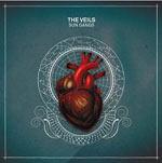 THE VEILS - Sun Gangs