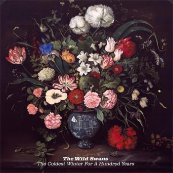 The Wild Swans - The Coldest Winter for a Hundred Years