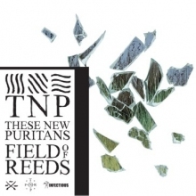 These New Puritans - Field of Reeds