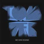 TOM VEK - We Have Sound