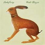 VASHTI BUNYAN - Lookaftering